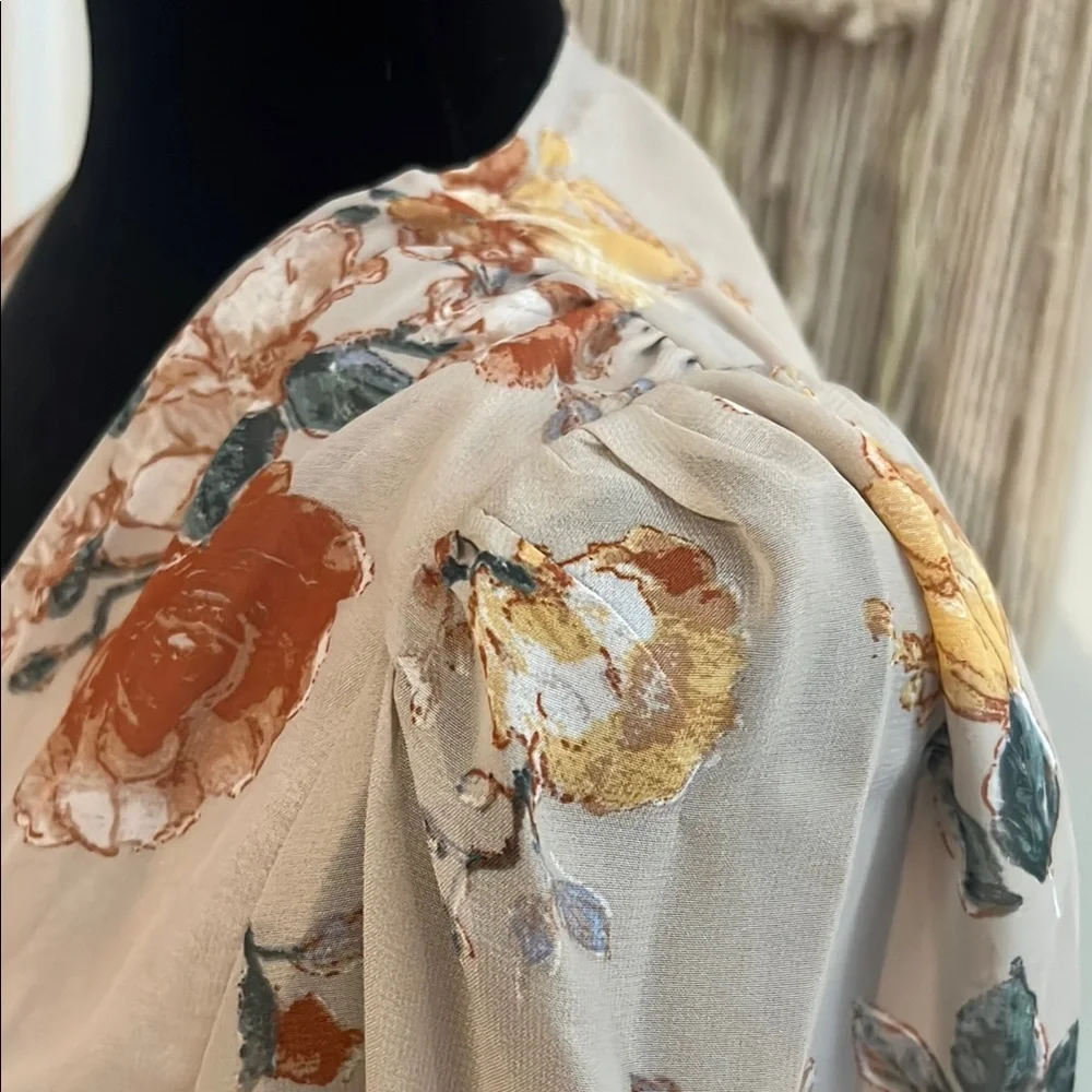 Hudson Gray Beige Floral Wrap Dress NWOTSheer Long Sleeve Tie Waist Size Small
